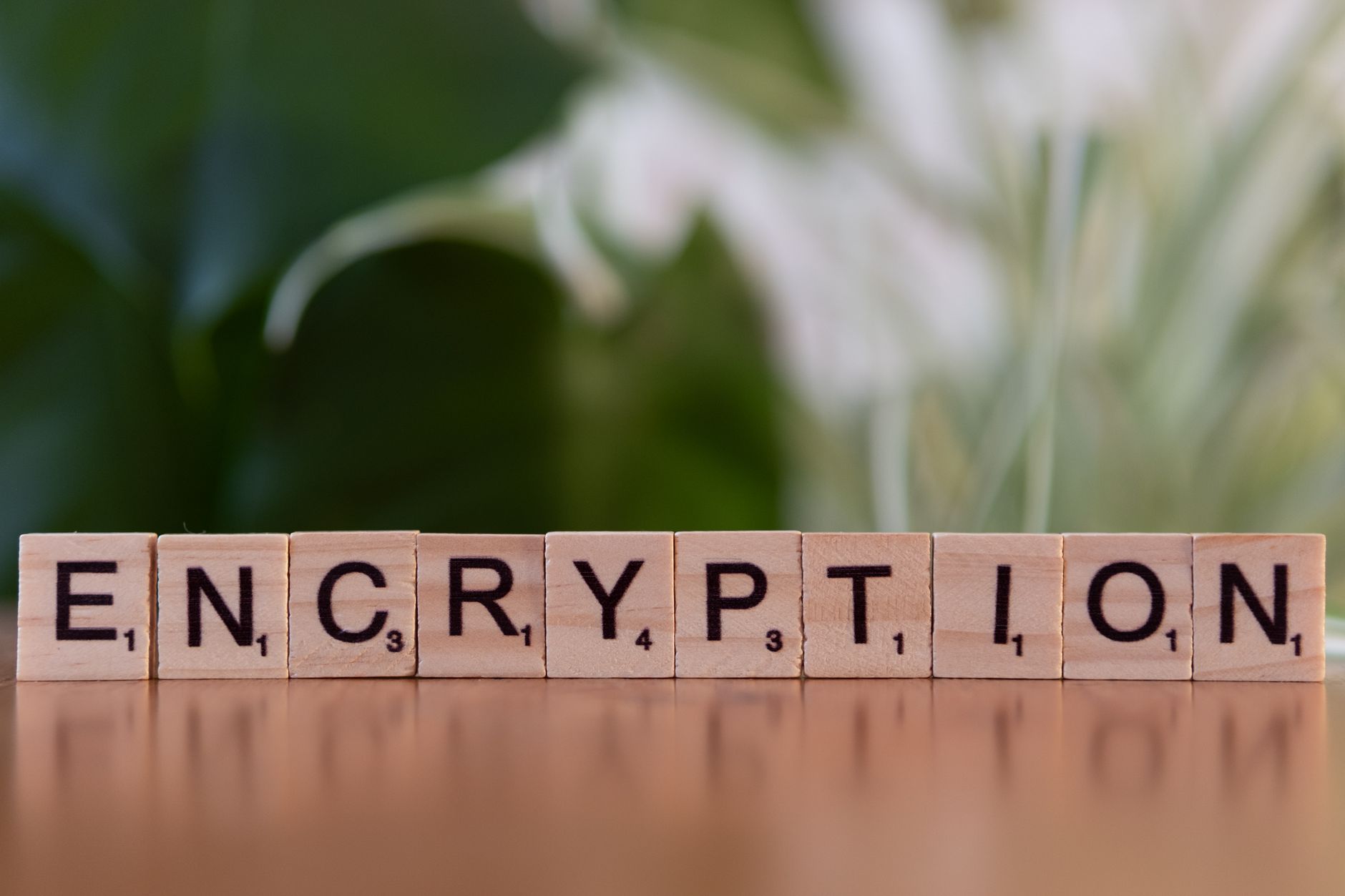 DKIM Key Rotation: When to Do It and How to Avoid Breaking Email